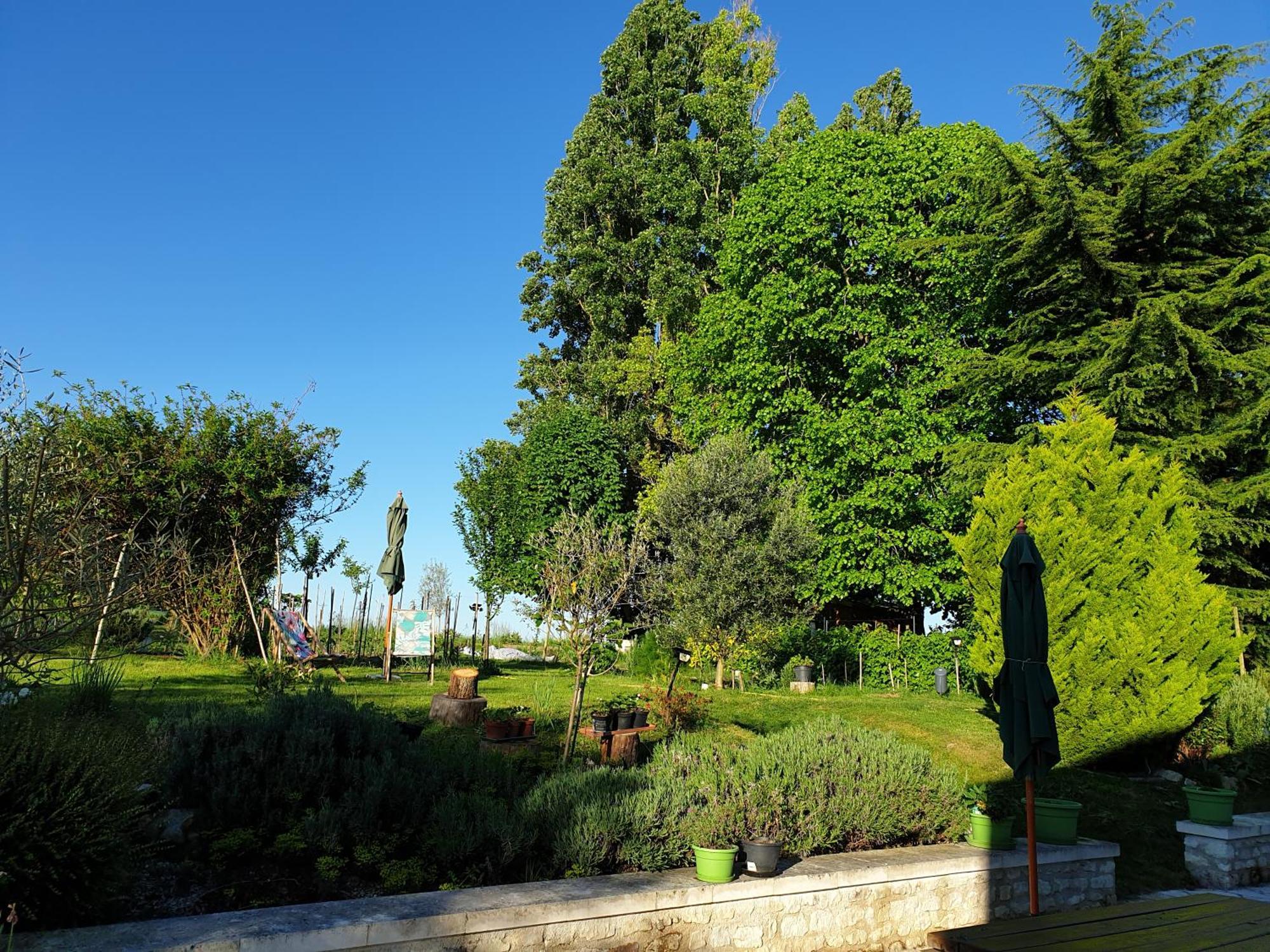 La Tour Du Raygnier Bed & Breakfast Verneuil-le-Chateau Exterior photo